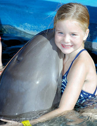 Nassau Blue Lagoon Island Dolphin Encounter